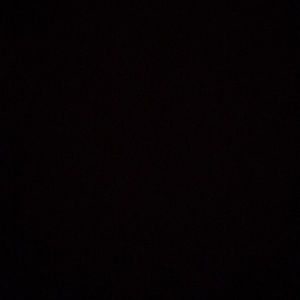 Meet your Posher, Riley